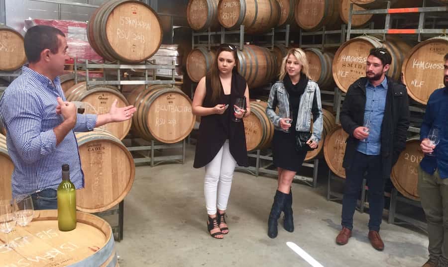 McLaren Vale: Small Group Wine Tour (Includes Lunch) - Why This McLaren Vale Tour Feels Personal
