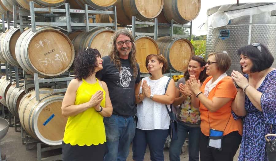 McLaren Vale: Small Group Wine Tour (Includes Lunch) - The Heart of the Day: 4–5 Cellar Doors That Match Your Tastes