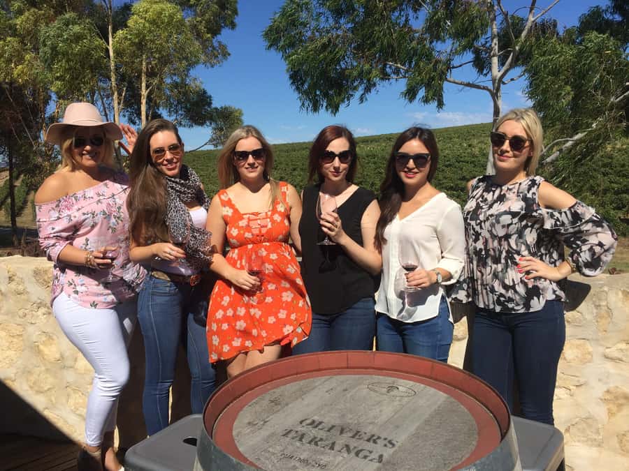 McLaren Vale: Small Group Wine Tour (Includes Lunch) - Adding Gin or Beer at the End Without Breaking the Flow
