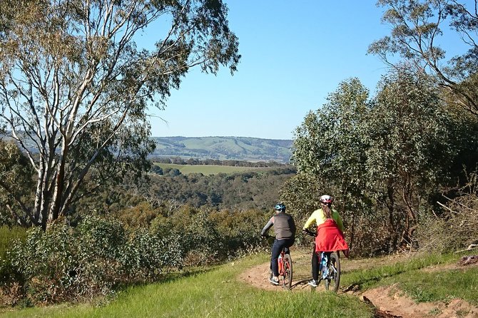 McLaren Vale Wine Tour by Bike - Lunch with local produce: the part that keeps the day from dragging