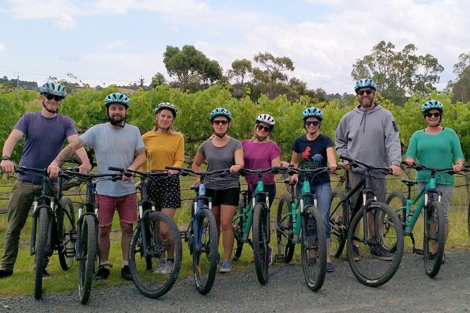 McLaren Vale Wine Tour by Bike - The final stop: microbrewery option, group choice, and ride-vs-van comfort
