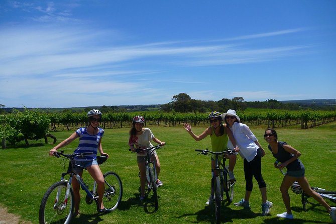 McLaren Vale Wine Tour by Bike - Guides, small-group size, and bike setup: why the experience feels cared for