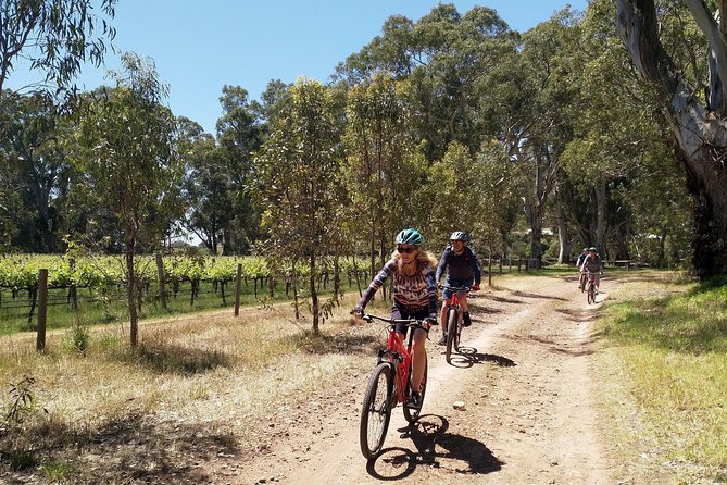 McLaren Vale Wine Tour by Bike - Price and value: what $142.73 buys you in real terms