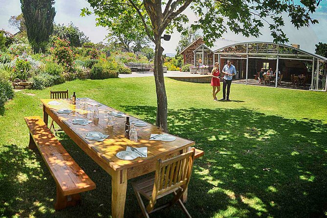 McLaren Vale Winery Small Group Tour with Wine Tasting and Lunch - Key highlights at a glance