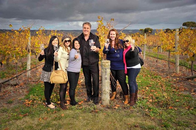 McLaren Vale Winery Small Group Tour with Wine Tasting and Lunch - Coastal pickup to McLaren Vale, without the driving stress