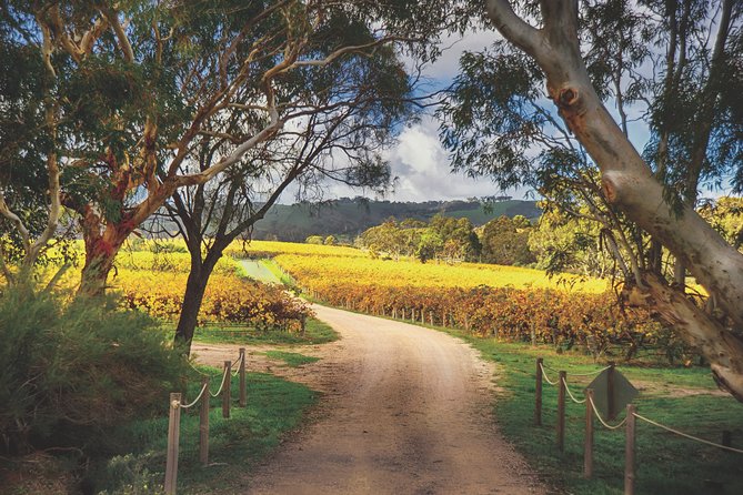 McLaren Vale Winery Small Group Tour with Wine Tasting and Lunch - A small group that actually feels small (max 8)