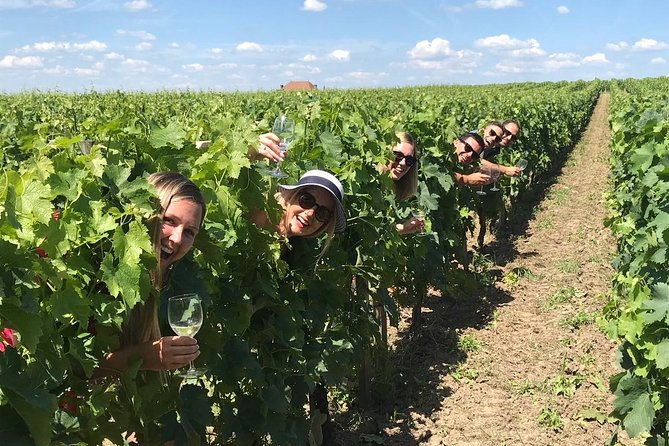 Medoc or Saint Emilion Wine Tasting and Chateau from Bordeaux - Médoc Afternoon: Castle Road Views and Cellars with Classified Growth Tastings