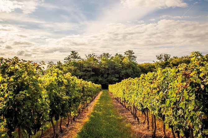 Médoc Region Half-Day Wine Tour with Winery Visit & Tastings from Bordeaux - What makes the tastings feel worth it