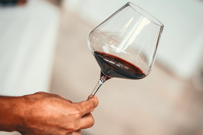 Medoc Region Wine Day Trip with Vineyard Visits & Tastings from Bordeaux - Key things to look for before you go