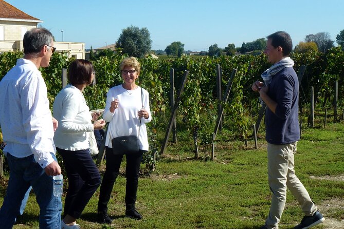 Medoc Region Wine Day Trip with Vineyard Visits & Tastings from Bordeaux - The second tasting: Pauillac or St. Estephe comparison time