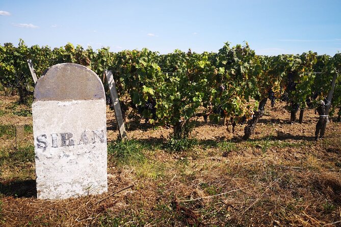 Medoc Region Wine Day Trip with Vineyard Visits & Tastings from Bordeaux - The final château: classified growth or Crus Bourgeois finish
