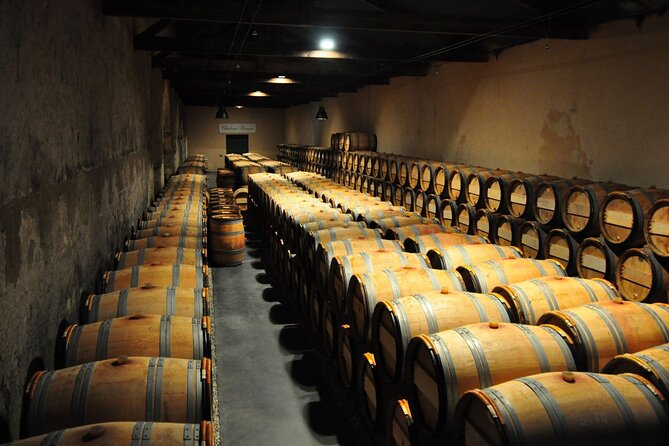 Medoc Region Wine Day Trip with Vineyard Visits & Tastings from Bordeaux - Guides make (or break) the day: what you can expect