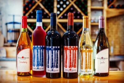 Meet the Winemakers - Seven Birches Winery Tour - How the Tour Works: A Simple Plan That Keeps You Moving