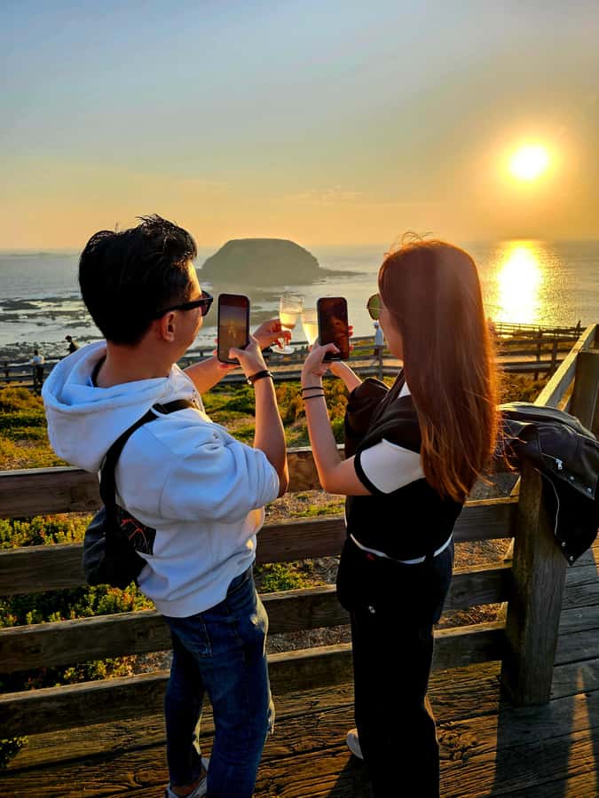 Melbourne: Boutique Phillip Island Wine, Dine & Penguin Tour - Cowes time: seaside wandering or the Koala Conservation Reserve upgrade