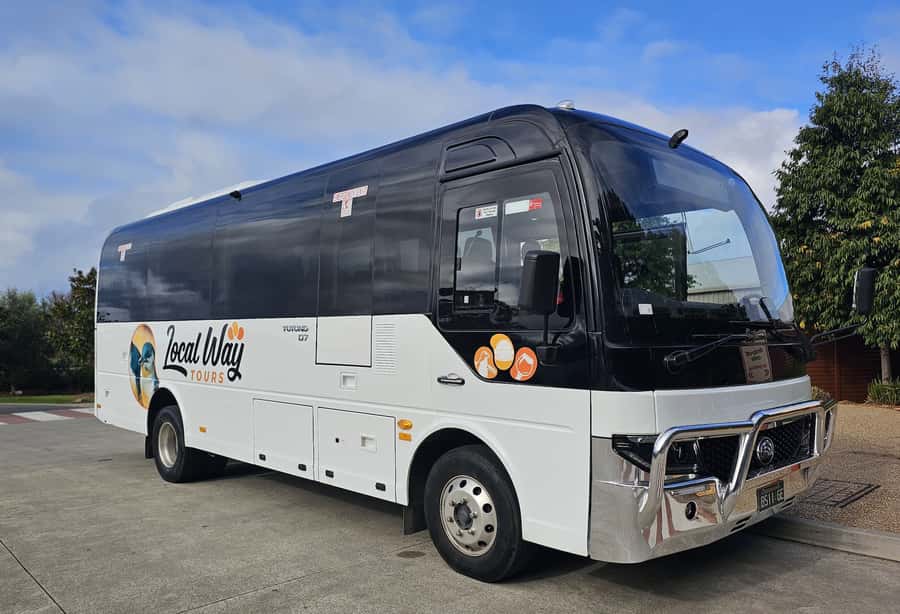 Melbourne: Boutique Phillip Island Wine, Dine & Penguin Tour - Wildlife beyond penguins: kangaroos, echidnas, birds, and koalas