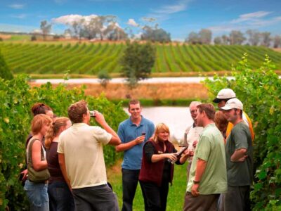 Melbourne: Full-Day Yarra Valley Wine Experience with Lunch - Greenstone Vineyards: learning how to taste before you buy anything