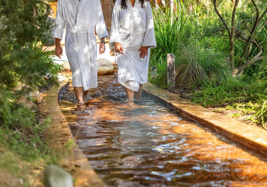 Melbourne: Peninsula Hot Springs with Lunch and Wine - Green Olive Estate Lunch and Your Cool-Climate Wine Flight