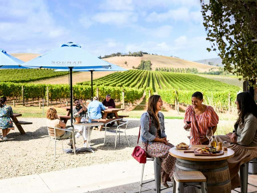 Melbourne: Yarra Valley Half-Day Wine Tour - Why this half-day Yarra Valley tour makes sense from Melbourne