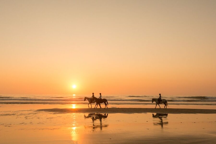 Melides: Horse Riding on the Beach with Wine Tasting - Key Points at a Glance