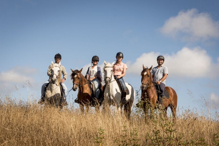 Melides: Horse Riding on the Beach with Wine Tasting - Melides Horse Riding: dunes, pine forest, and a beach that keeps going