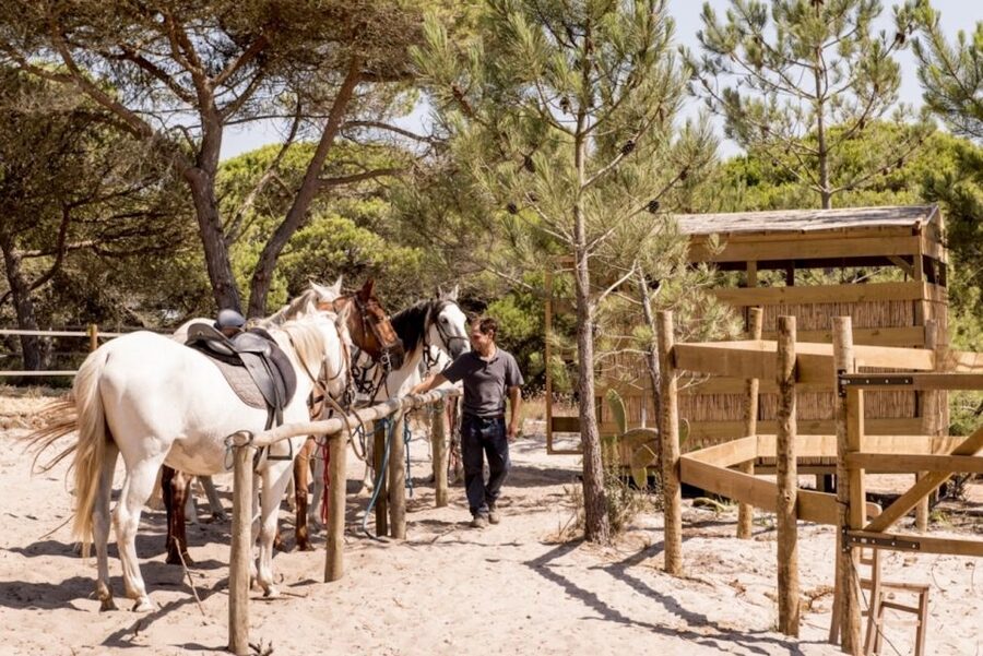 Melides: Horse Riding on the Beach with Wine Tasting - Grândola nature stops: flora, fauna, and bird-spotting near the lagoon
