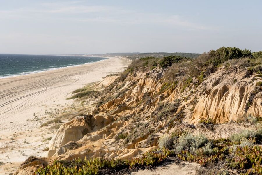 Melides: Horse Riding on the Beach with Wine Tasting - Who this fits best (and who should think twice)