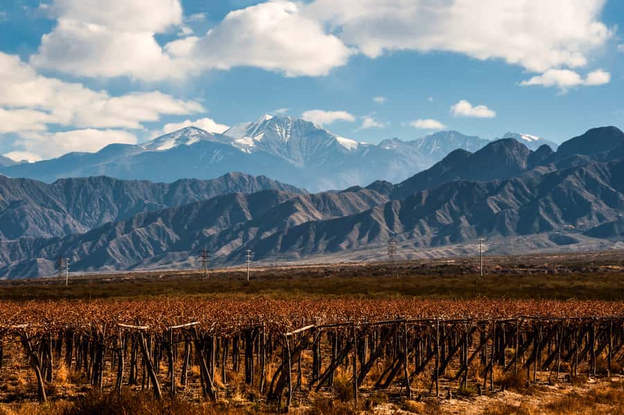 Mendoza: Full Day Wine Tour with 3 Course Lunch - Key Things to Know Before You Go
