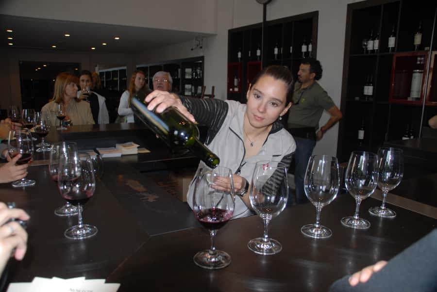 Mendoza: Full Day Wine Tour with 3 Course Lunch - Who Should Book This Mendoza Wine Tour