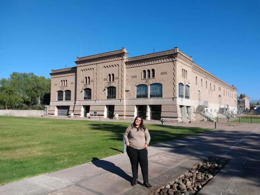 Mendoza: Full Day Wine Tour with 3 Course Lunch - Full-Day Mendoza Wine Touring: What the 8 Hours Are Really For