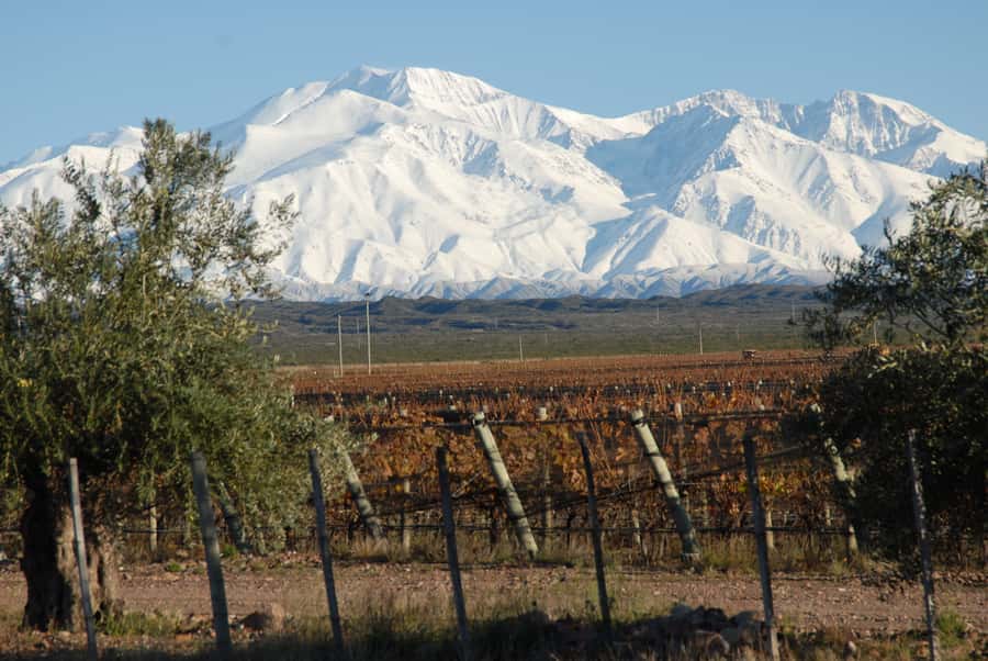 Mendoza: Full Day Wine Tour with 3 Course Lunch - Your Two Winery Visits: Tastings Plus the “Why” Behind the Wine