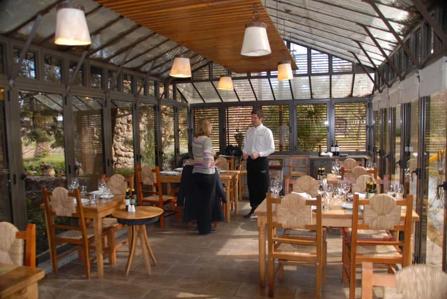Mendoza: Full Day Wine Tour with 3 Course Lunch - Price and Value at $153 per Person