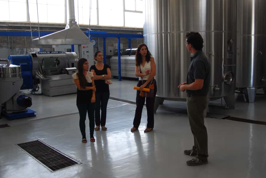 Mendoza: Full Day Wine Tour with 3 Course Lunch - When This Tour Can Frustrate You: The Practical Watch-Outs