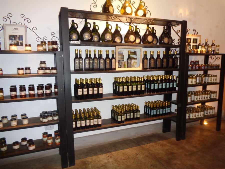 Mendoza: Half-Day Wine Tour with Tastings - Key Things to Know Before You Go
