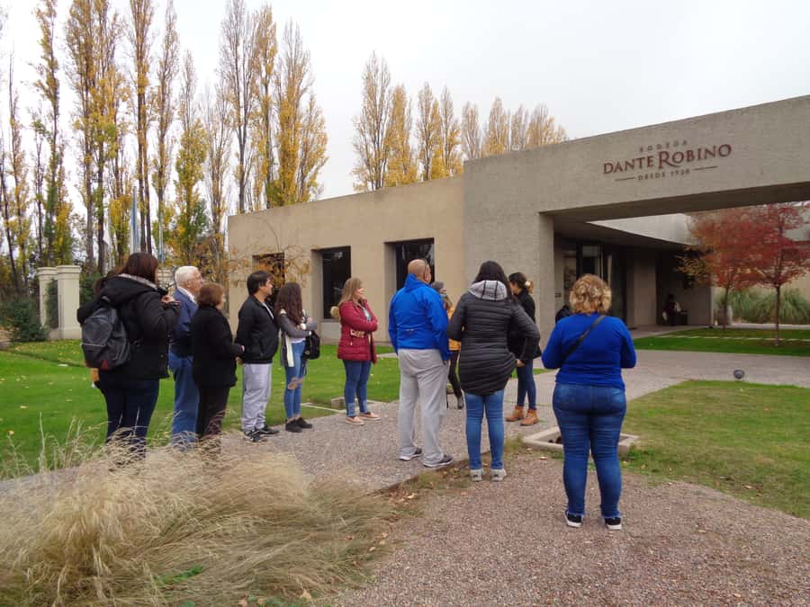 Mendoza: Half-Day Wine Tour with Tastings - Why Mendoza’s Wine Country Feels Different (It’s the Water)