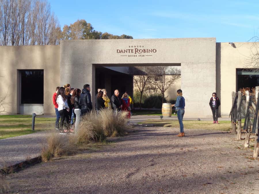 Mendoza: Half-Day Wine Tour with Tastings - Hotel Pickup and Where You’ll Be Waiting