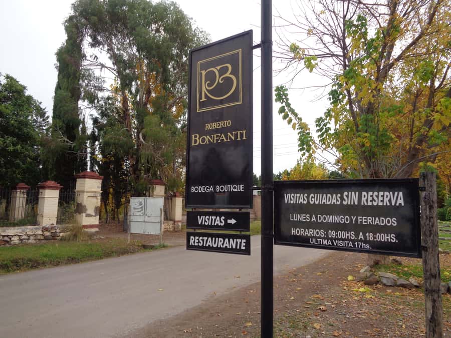 Mendoza: Half-Day Wine Tour with Tastings - Maipú for About an Hour: A Guided Interruption (That Helps)