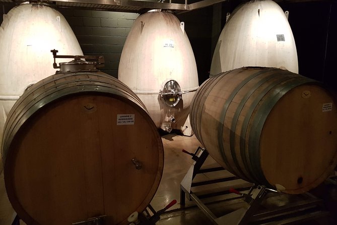 Mendoza Hop-On Hop-Off Wine Tour - Quick Take Before You Go