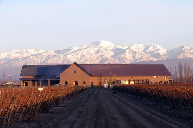 Mendoza Hop-On Hop-Off Wine Tour - El Sol on Tuesdays: A Good Match for First-Time Mendoza Wine Days
