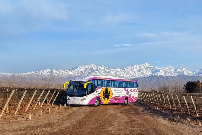 Mendoza Hop-On Hop-Off Wine Tour - Valle de Uco Sur on Wednesdays: Full Day Only for a Reason