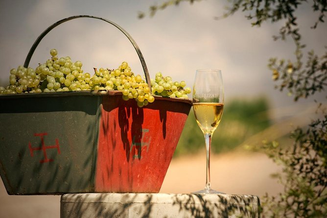 Mendoza Hop-On Hop-Off Wine Tour - What’s Included vs What You’ll Pay at the Wineries