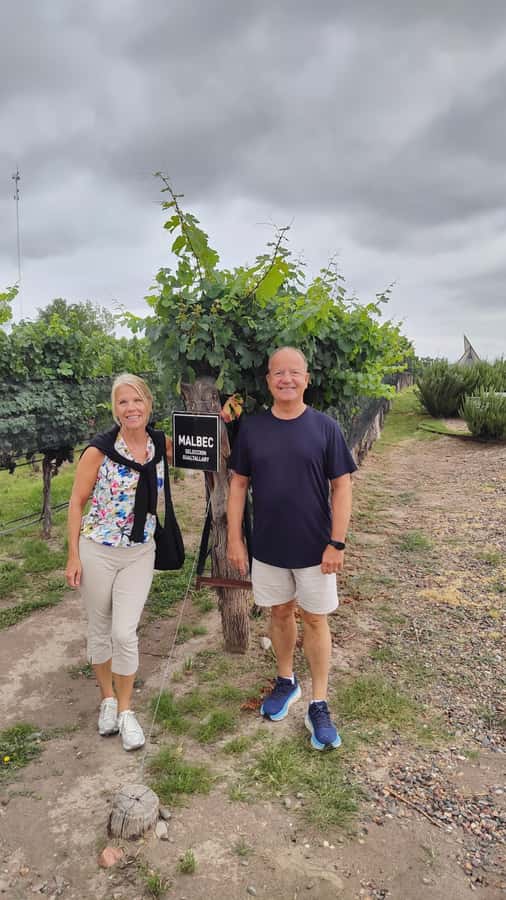Mendoza: Top Wineries Guided Tour with Transportation - Key Highlights You’ll Actually Feel During the Day