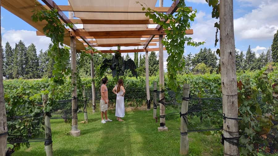 Mendoza: Top Wineries Guided Tour with Transportation - Entering Mendoza’s Wine Country With Transport Taken Care Of