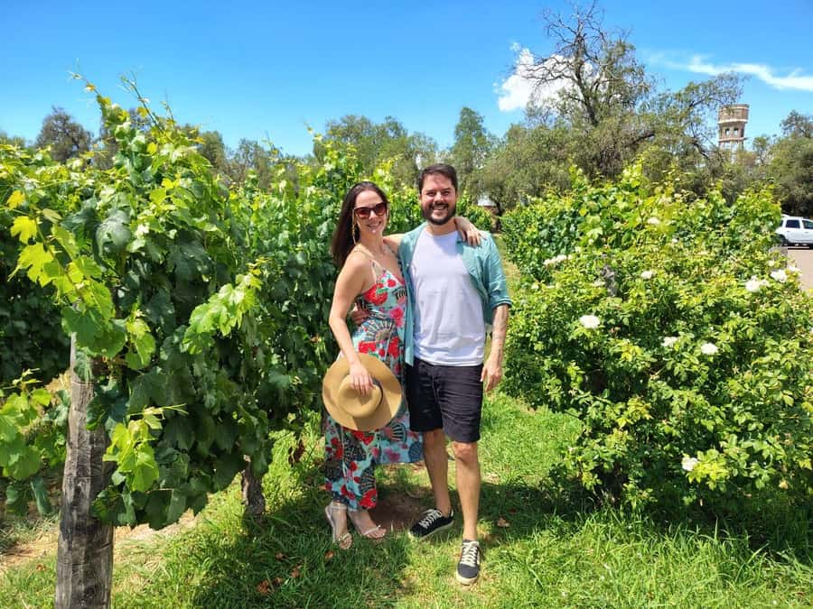 Mendoza: Top Wineries Guided Tour with Transportation - What Happens at Each Winery Stop (So You Know Where Your Time Goes)