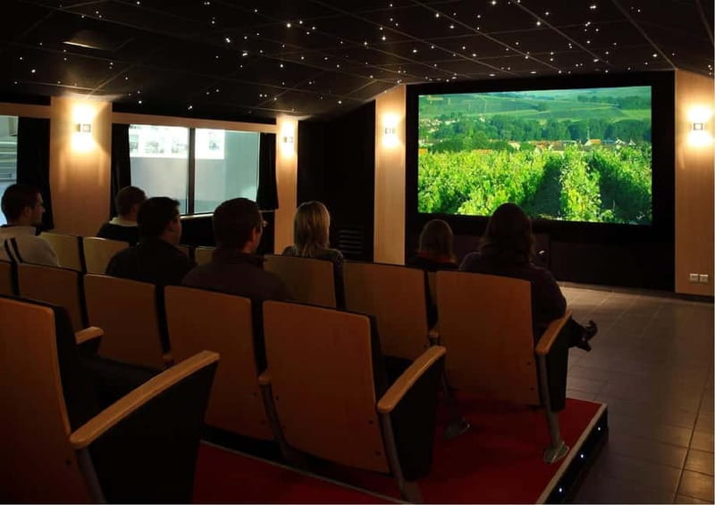 Meunier Champagne Experience tour - Passy-Grigny - Key highlights to look for