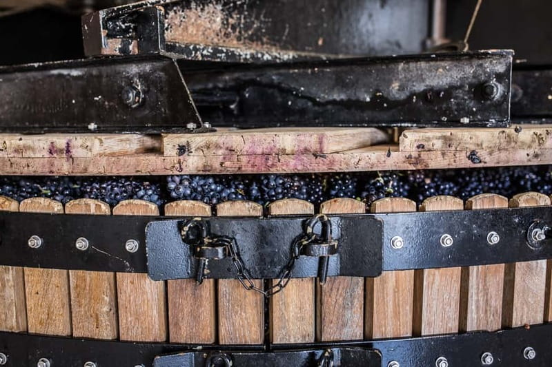 Meunier Champagne Experience tour - Passy-Grigny - Passy-Grigny in the Marne Valley: a Champagne tour that stays focused