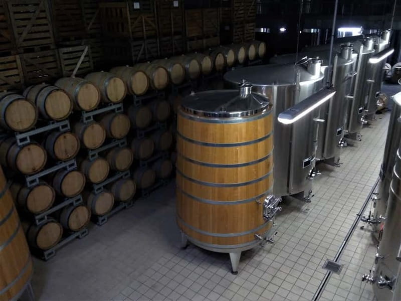 Meunier Champagne Experience tour - Passy-Grigny - Tasting three Meunier Champagnes: how to compare without getting lost