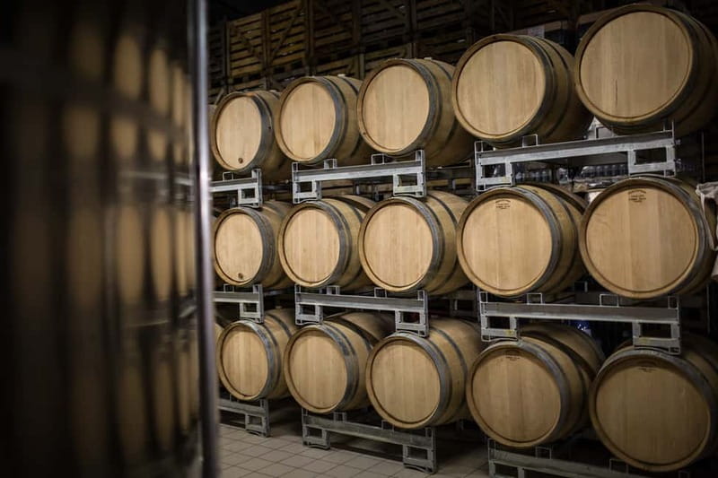 Meunier Champagne Experience tour - Passy-Grigny - Price and value: why $16 can make sense here