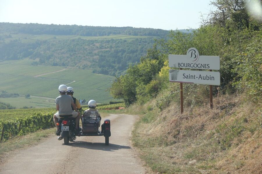 Meursault: Tour of the Vineyards on Motorbike with Sidecar - Who should book this sidecar vineyard tour