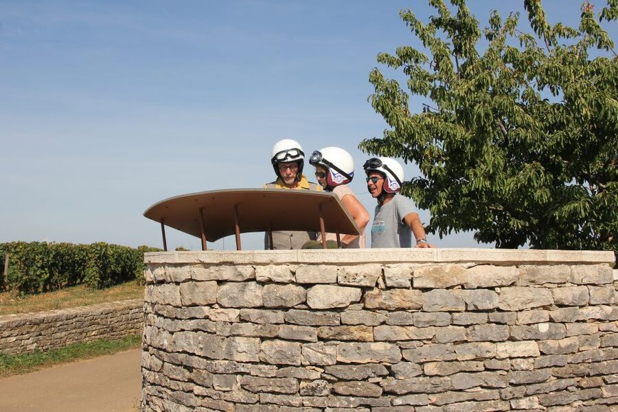 Meursault: Tour of the Vineyards on Motorbike with Sidecar - Should you book this Meursault motorbike vineyard tour?
