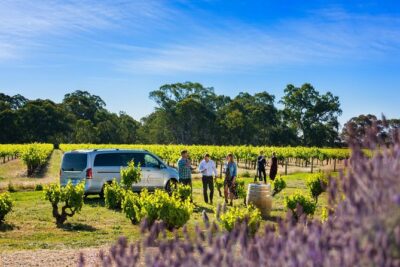 Micro-Group Barossa Valley Wine Tour from Adelaide - Winery stops: boutique tastings, guided context, and a route that makes sense